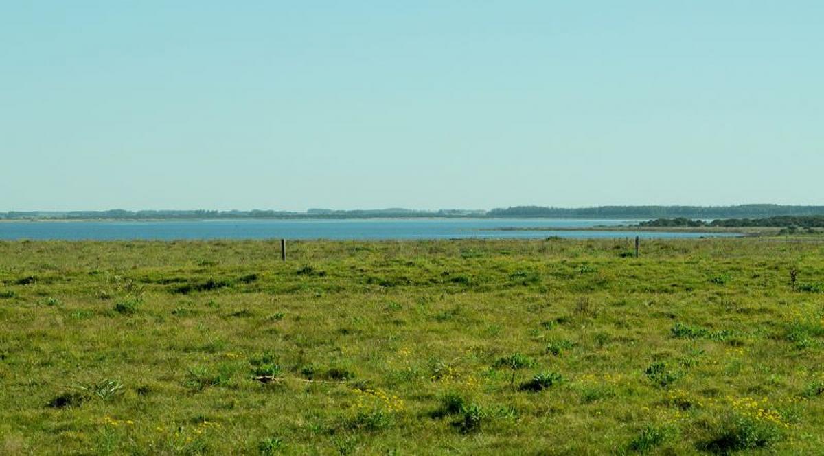 Ferme à Maldonado, Uruguay No. 14479
