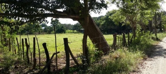  Land in Santa Cruz, Costa Rica No. 1719 3