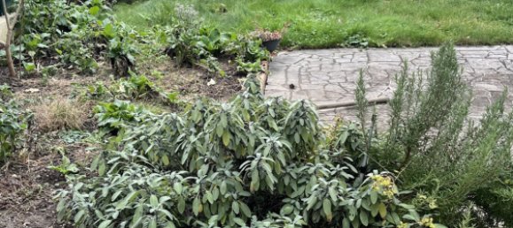 Casa de 2 dormitorios en Saint-Max, France No. 42259 4