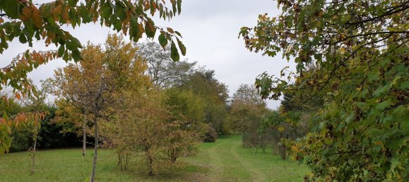 5 bedrooms House in Josnes, France No. 243534 19