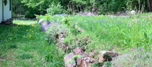 Bungalow de 6 habitaciónes en Holzminden, Germany No. 237117 19