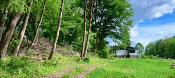 Bungalow de 6 habitaciónes en Holzminden, Germany No. 237117 9