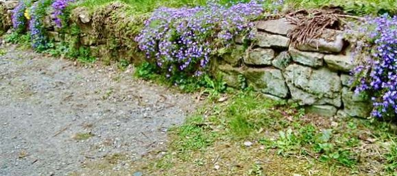 Bungalow de 6 habitaciónes en Holzminden, Germany No. 237117 20