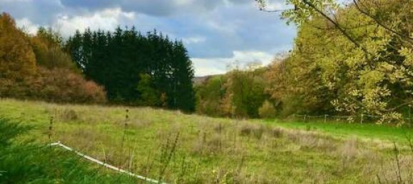 Bungalow de 6 habitaciónes en Holzminden, Germany No. 237117 31