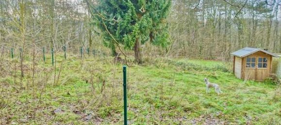 Bungalow de 6 habitaciónes en Holzminden, Germany No. 237117 32