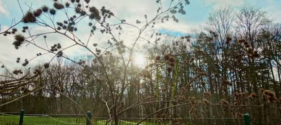 Bungalow de 6 habitaciónes en Holzminden, Germany No. 237117 33