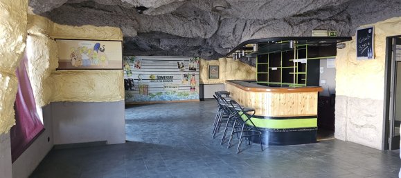 237m² Commercial property in Castelo Branco, Portugal No. 88636 40