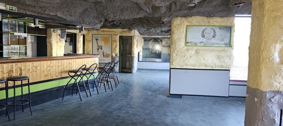 237m² Commercial property in Castelo Branco, Portugal No. 88636 18