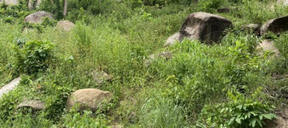  Commercial property in Ko Samui, Thailand No. 23794 2