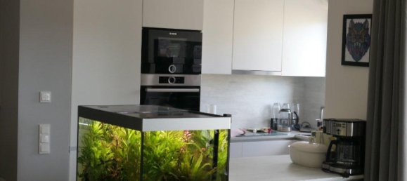 1 bedroom Apartment in Wuppertal, Germany No. 335806 12