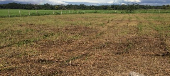 Земельный участок в Либерия, Коста-Рика № 1608 3