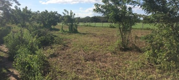 Земельный участок в Либерия, Коста-Рика № 1608 2