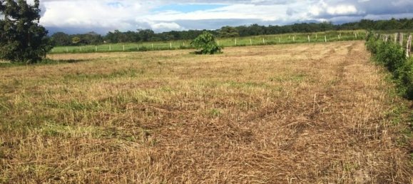 Земельный участок в Либерия, Коста-Рика № 1608 4