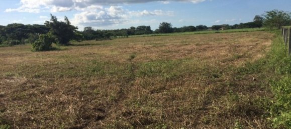 Земельный участок в Либерия, Коста-Рика № 1608 6