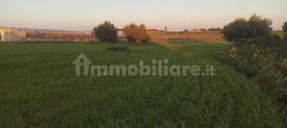 Grundstück in Pachino, Italy 14000m², Nr. 67909 3