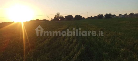 Grundstück in Pachino, Italy 14000m², Nr. 67909 10