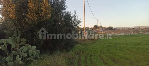 Grundstück in Pachino, Italy 14000m², Nr. 67909 2