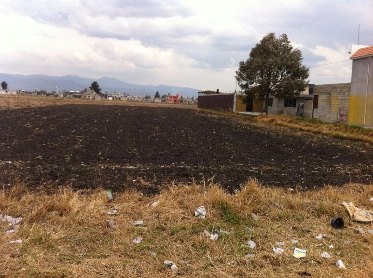 Земельный участок в Сан Буэнавентура, Мексика № 204859