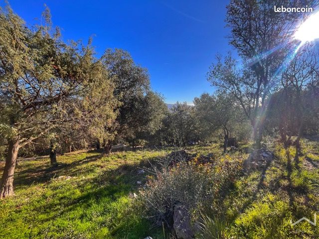  قطعة أرض في Carros, France 1231متر مربع رقم 107765