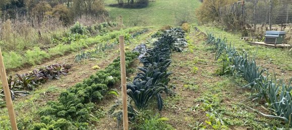 1 room Land in Traversetolo, Italy No. 61305 23