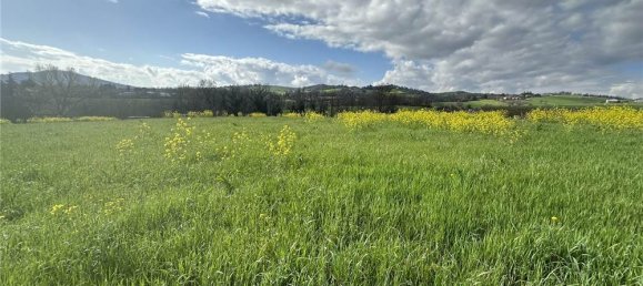 1 room Land in Traversetolo, Italy No. 61305 22