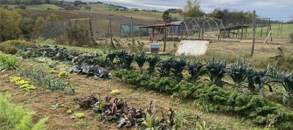 1 room Land in Traversetolo, Italy No. 61305 25