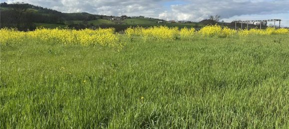 1 room Land in Traversetolo, Italy No. 61305 20