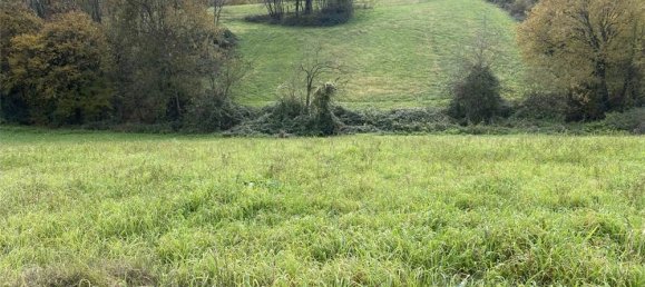1 room Land in Traversetolo, Italy No. 61305 21