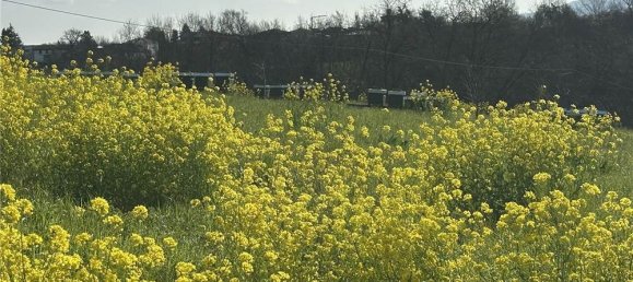 1 room Land in Traversetolo, Italy No. 61305 33