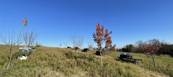 1 room Land in Traversetolo, Italy No. 61305 12