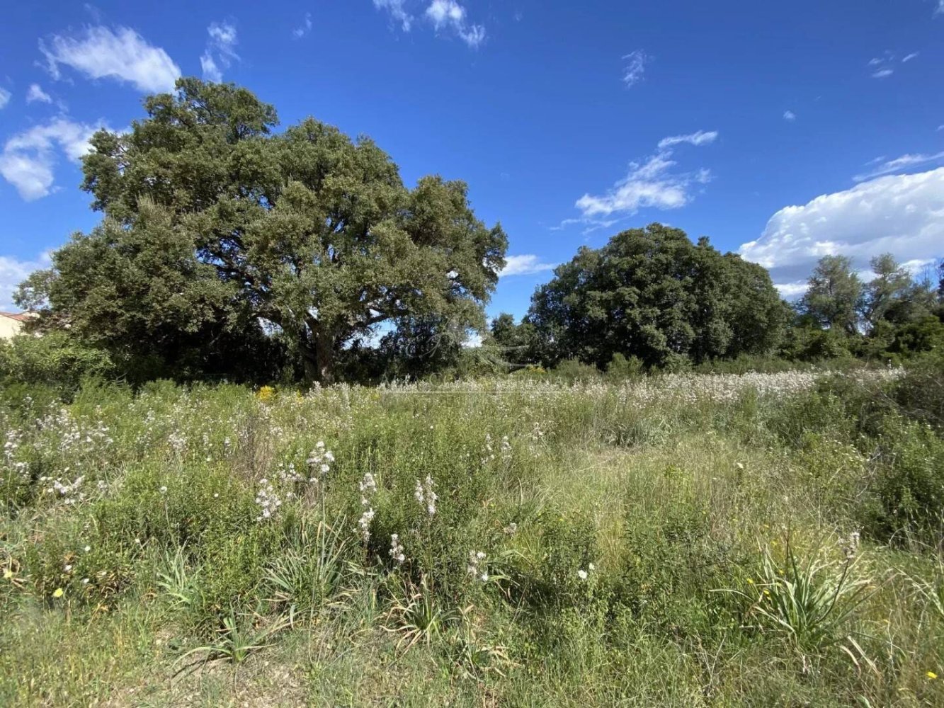 Земельный участок 900м² в Гизоначча, Франция № 217884