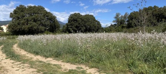 Земельный участок 900м² в Гизоначча, Франция № 217884 5