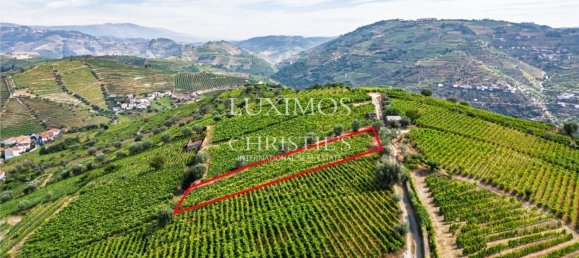 59564m² Land in Santa Marta de Penaguiao, Portugal No. 241829 18