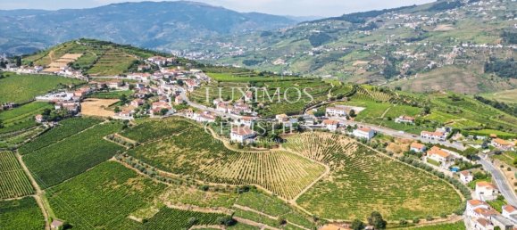 59564m² Land in Santa Marta de Penaguiao, Portugal No. 241829 14