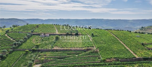 59564m² Land in Santa Marta de Penaguiao, Portugal No. 241829 16