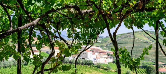 59564m² Land in Santa Marta de Penaguiao, Portugal No. 241829 3