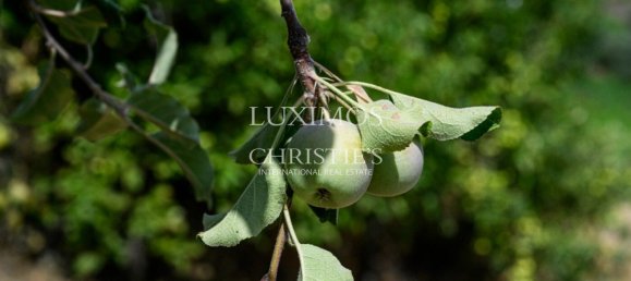 59564m² Land in Santa Marta de Penaguiao, Portugal No. 241829 5