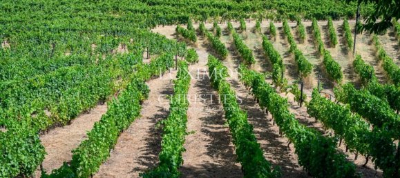 59564m² Land in Santa Marta de Penaguiao, Portugal No. 241829 4