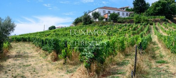 59564m² Land in Santa Marta de Penaguiao, Portugal No. 241829 2