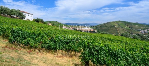 59564m² Land in Santa Marta de Penaguiao, Portugal No. 241829 7