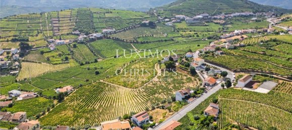 59564m² Land in Santa Marta de Penaguiao, Portugal No. 241829 15