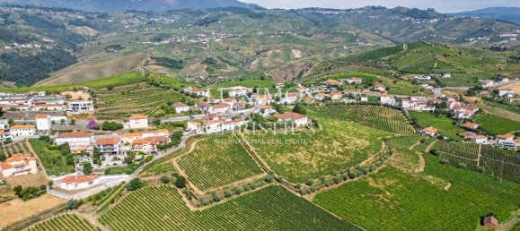 59564m² Land in Santa Marta de Penaguiao, Portugal No. 241829 22