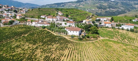 59564m² Land in Santa Marta de Penaguiao, Portugal No. 241829 13