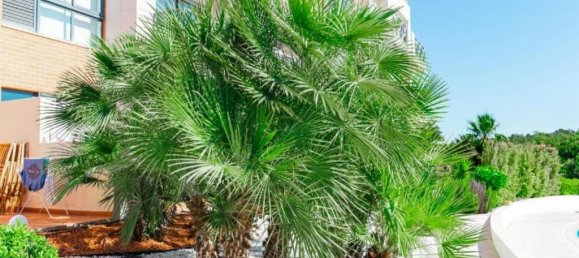 2 Schlafzimmer Wohnung in Albufeira, Portugal, Nr. 219136 3