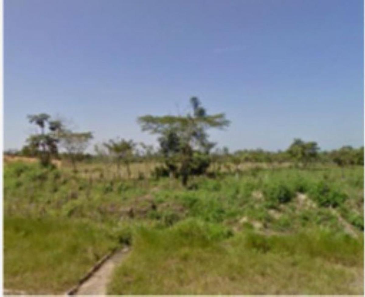 Terrain à Veracruz, Mexico No. 206688