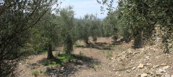 3800m² Land in San Bartolomeo al Mare, Italy No. 146551 9