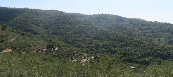 3800m² Land in San Bartolomeo al Mare, Italy No. 146551 12