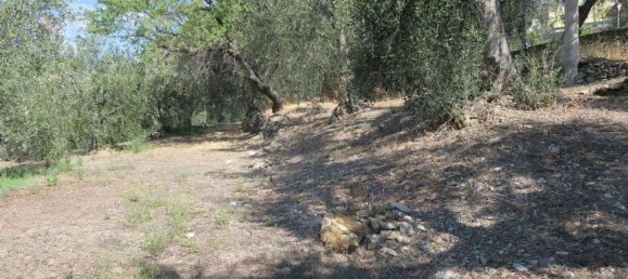 3800m² Land in San Bartolomeo al Mare, Italy No. 146551 6