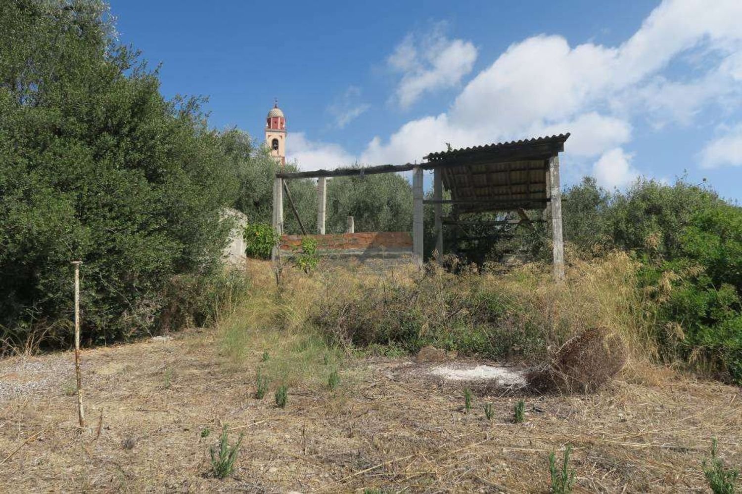 3800m² Land in San Bartolomeo al Mare, Italy No. 146551