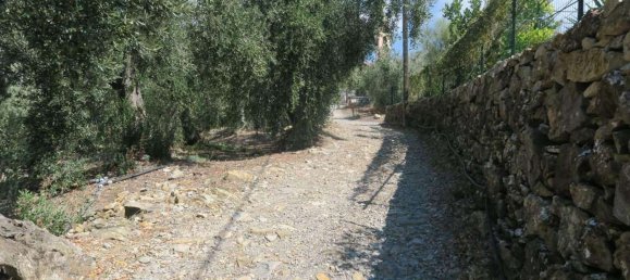 3800m² Land in San Bartolomeo al Mare, Italy No. 146551 18